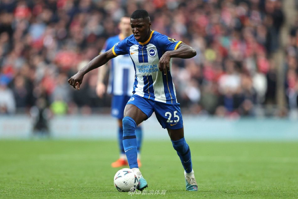 分化明显 分化明显